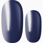 Wild Blue