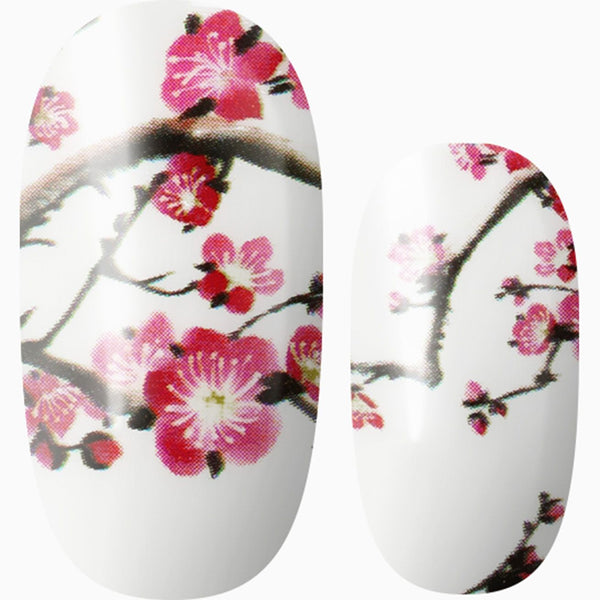 Cherry Blossom Girl
