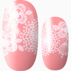 Cashmere Rose