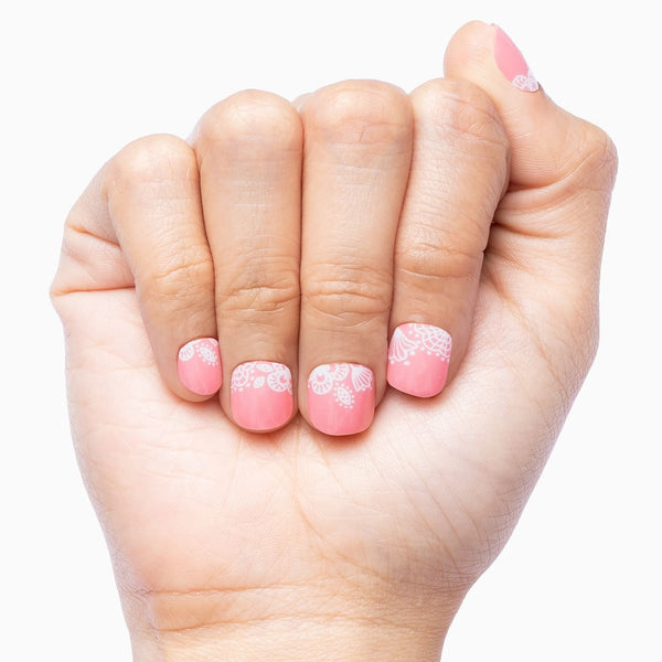 Cashmere Rose