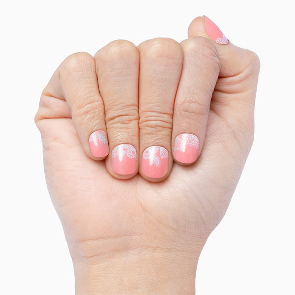 Cashmere Rose