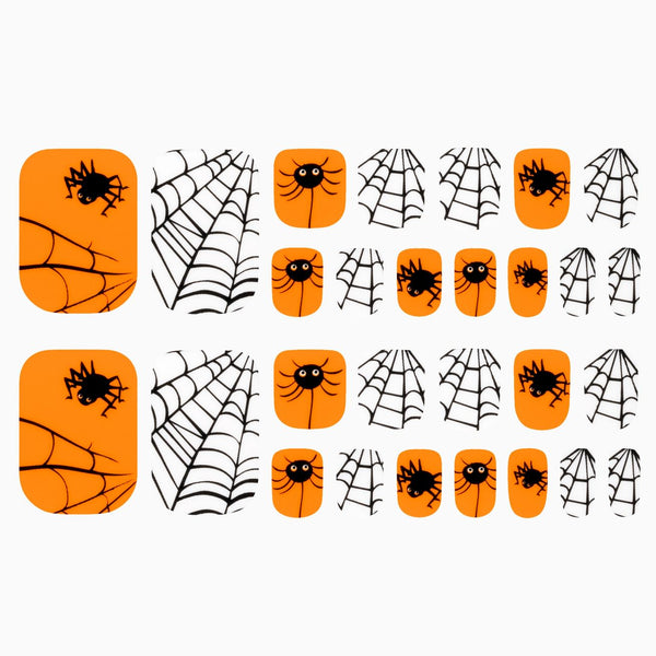 Web Developer (Pedicure)