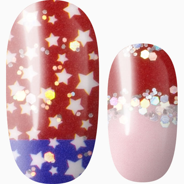 Party In The White House