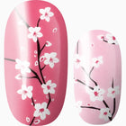 Blooming In Perfection