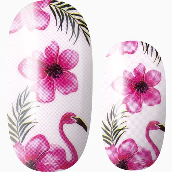 Floral Flamingo