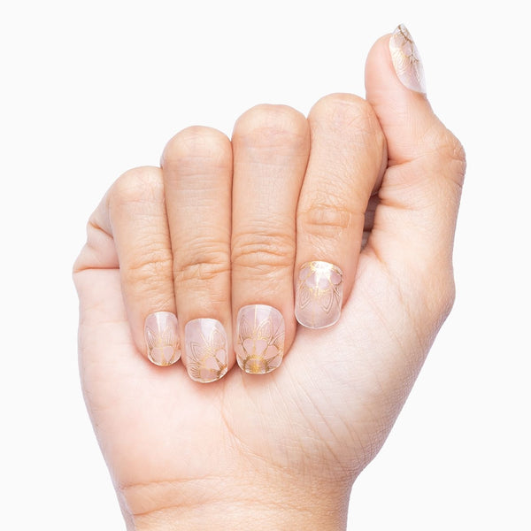 Goldhemian (transparent)