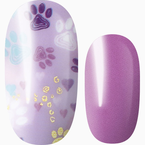 Paw-sitively Adorable