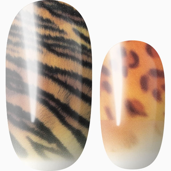 Dream Of Something Wild