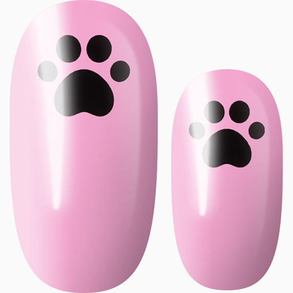 Cutie Paw-tootie