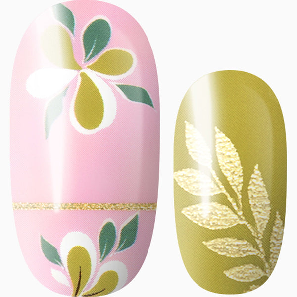 Blush & Blossom