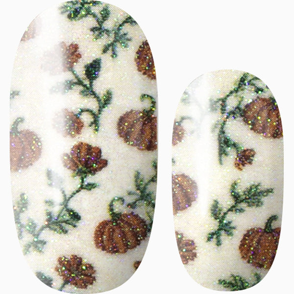Pumpkin Blossoms