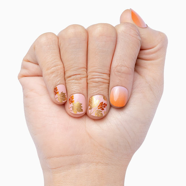 Orange You Glad It’s Fall?