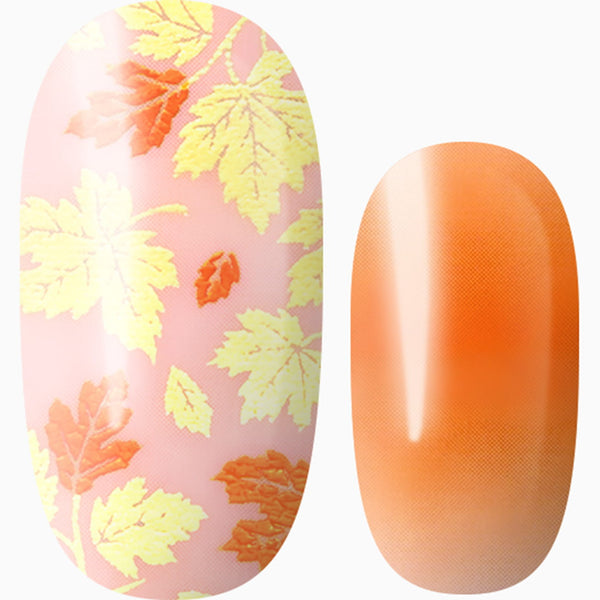 Orange You Glad It’s Fall?