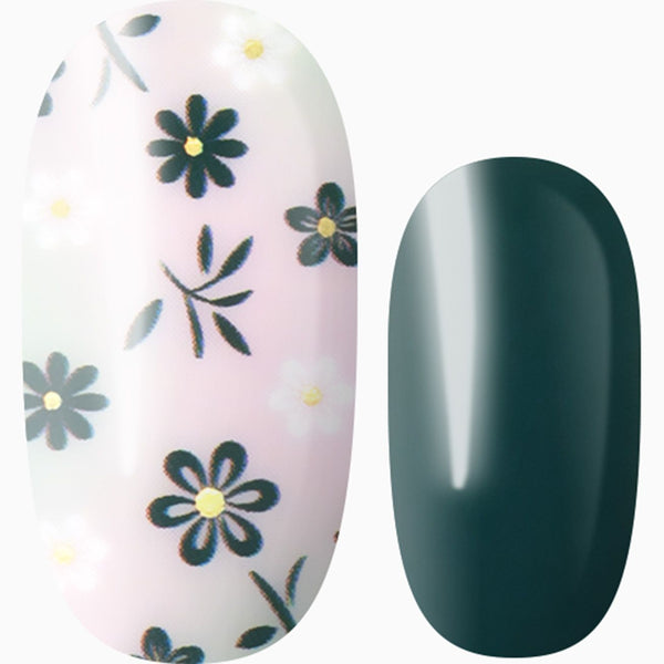 Evergreen Blooms